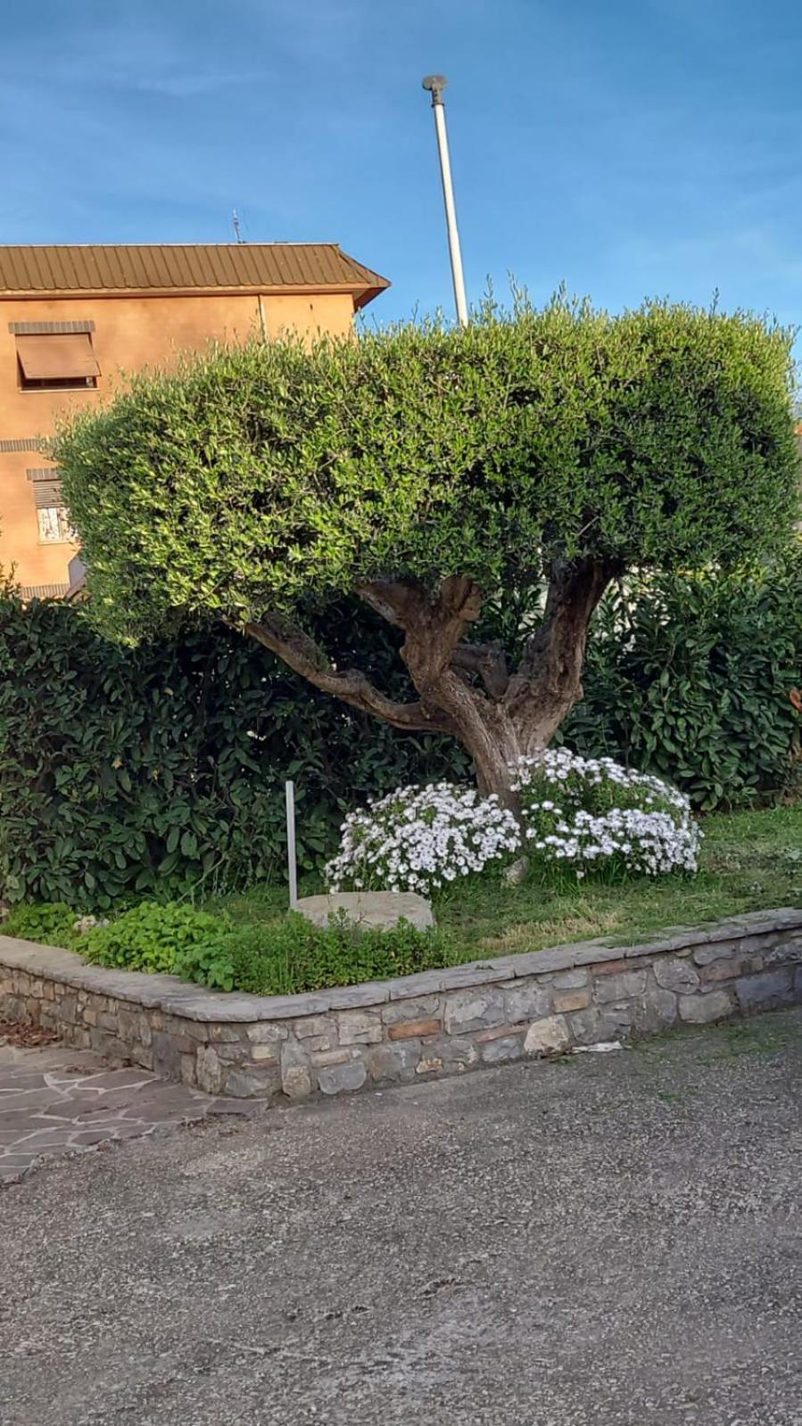 Casetta Delle Fiabe Roma Eksteriør bilde